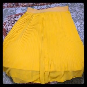 A New Day Pleated Skirt